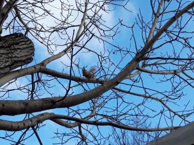 Прикрепленное изображение: бел.jpg